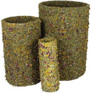 JR Frühlings-Rolle groß 800g