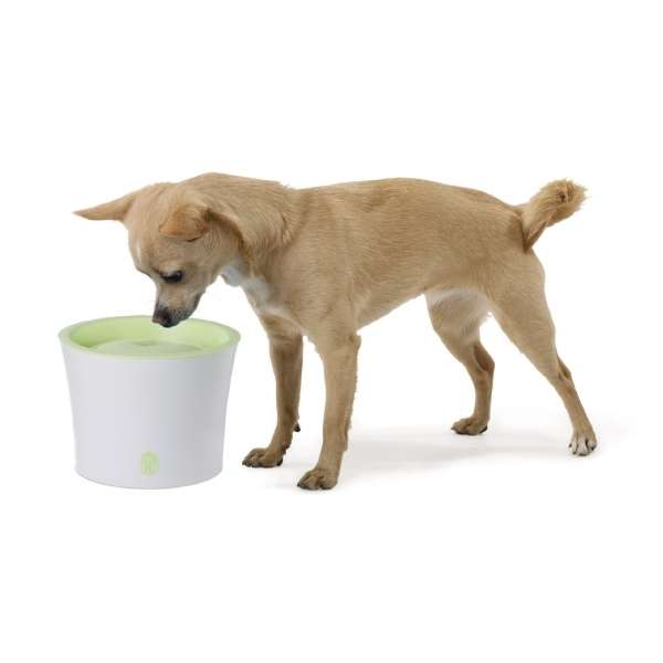 CATIT Fresh+Clear Trinkbrunnen 3L - Lindgrün – Bild 15