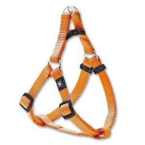 Karlie ASP Step&Go Geschirr - Orange - 25 mm, 72-110 cm