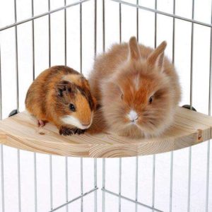 Karlie Holz-Sitzecke - Groß