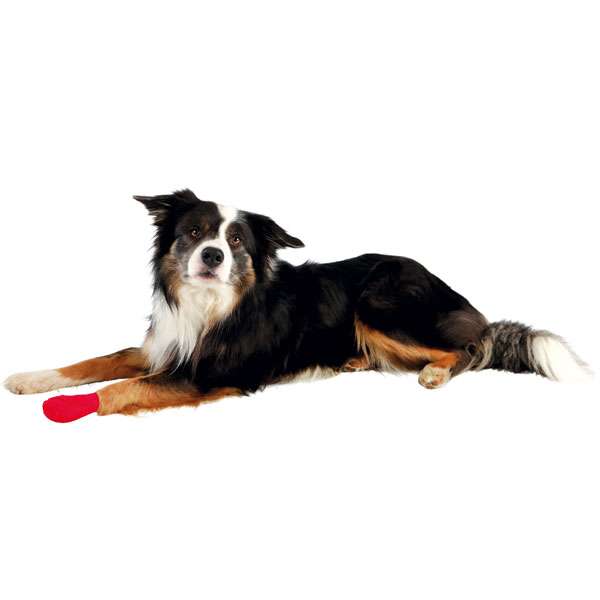 Trixie Bitterstoff-Bandagen, selbsthaftend - 4 Rollen – Bild 5