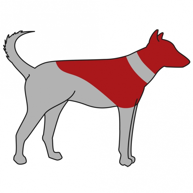 Trixie Schutzkragen, aufblasbar - M-L – Bild 4