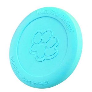 West Paw Zisc - 22 cm - Aqua